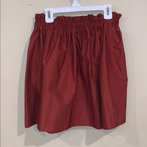 Zara Small Skirt